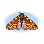 Moth, decals stickers