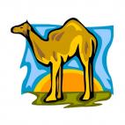 Camel, decals stickers