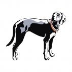 English foxhound, decals stickers