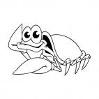 Curious crab, decals stickers
