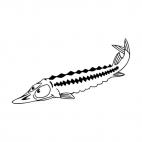 Long fish, decals stickers