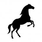 Horse standing up, decals stickers