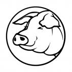 Pig head logo, decals stickers
