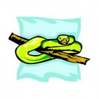 Snake on a branch, decals stickers