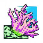 Coral, decals stickers