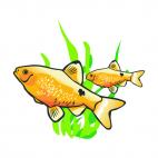 Goldfishes near seaweed, decals stickers