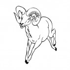 Moutain sheep running, decals stickers