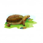 Turle walking on grass, decals stickers