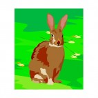 Brown hare sitting down, decals stickers