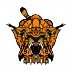 Tiger drawing, decals stickers
