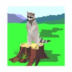 Racoon standing on tree trunk, decals stickers