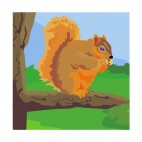 Squirrel on a branch eating, decals stickers
