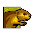 Brown beaver close up, decals stickers
