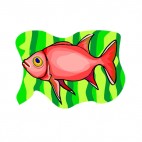 Red goldfish, decals stickers