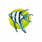 Blue with black stripped angelfish, decals stickers