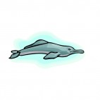 River dolphin underwater, decals stickers