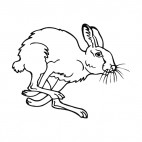 Bunny jumping, decals stickers