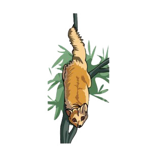 Beige lemur walking on a branch listed in more animals decals.