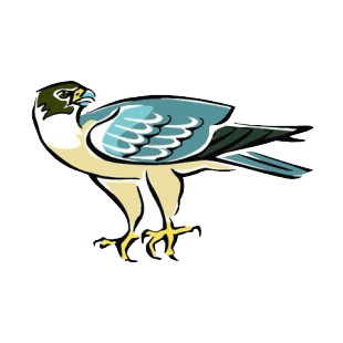 Blue and beige peregrine listed in more animals decals.