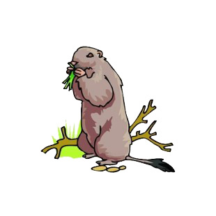 Brown marmot eating listed in more animals decals.
