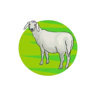 Ewe with long ears listed in more animals decals.