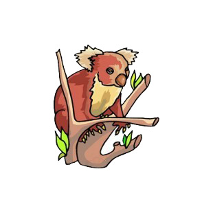 Brown koala on a branch listed in more animals decals.