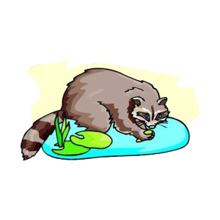 Raccoon walking trough water listed in more animals decals.