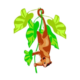 Coati holding on to a leaf twig  listed in more animals decals.