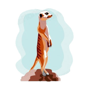 Ferret standing up listed in more animals decals.