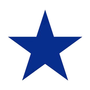 Newcastle Blue Star FC soccer team logo listed in soccer teams decals.