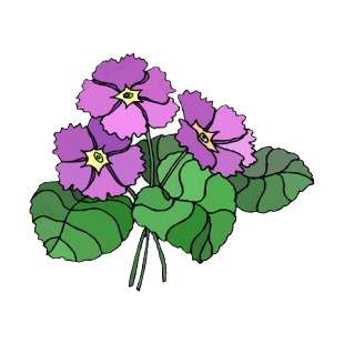 Purples and yellows flowers with green leaves listed in flowers decals.