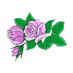 Purple roses with leaves listed in flowers decals.