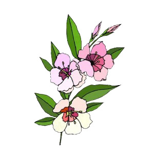 Pink and white flowers with leaves listed in flowers decals.