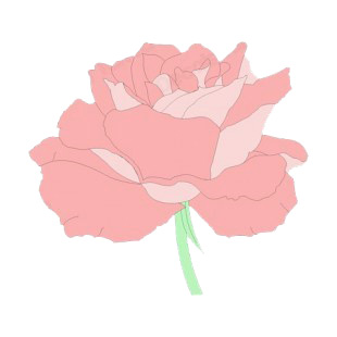 Pink rose listed in flowers decals.
