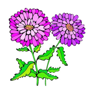 Pink and purple asters flowers with leaves listed in flowers decals.