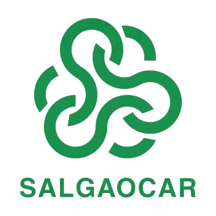 Salgaocar SC soccer team logo listed in soccer teams decals.