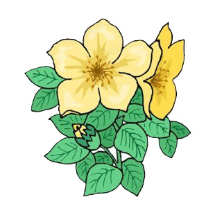 Yellow hibiscus flowers with leaves listed in flowers decals.
