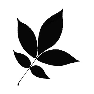 Elm leaves silhouette listed in plants decals.