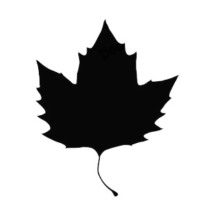 Maple leaf silhouette listed in plants decals.