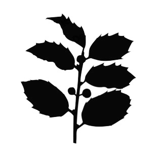Toothed leaves with fruits silhouette listed in plants decals.