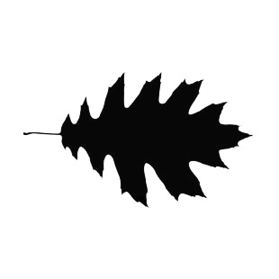 Toothed lobed leaf silhouette listed in plants decals.