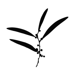 Magnolia leaves with small flowers silhouette listed in plants decals.