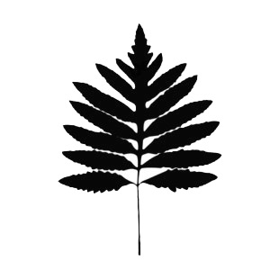 Lobbed leaf silhouette listed in plants decals.