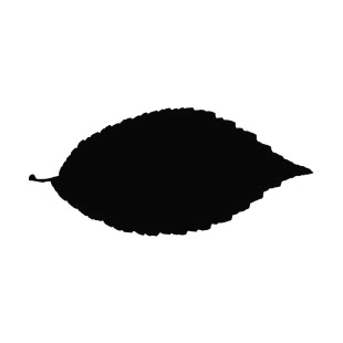 Toothed leaf silhouette listed in plants decals.