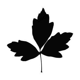 Elm toothed leaves silhouette listed in plants decals.