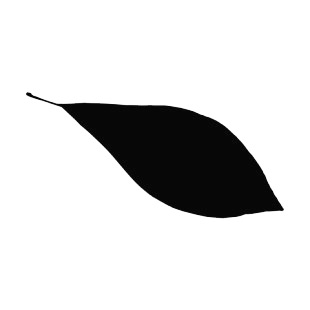 Magnolia leaf silhouette listed in plants decals.