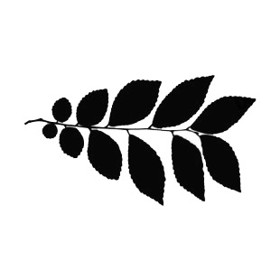 Small toothed leaves silhouette listed in plants decals.