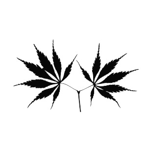 Toothed leaves silhouette listed in plants decals.