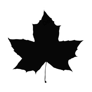 Toothed maple leaf silhouette listed in plants decals.