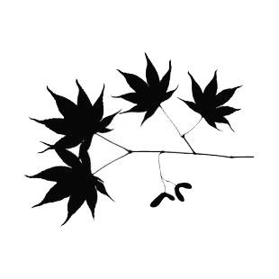 Maple leaves with seed on twig silhouette listed in plants decals.